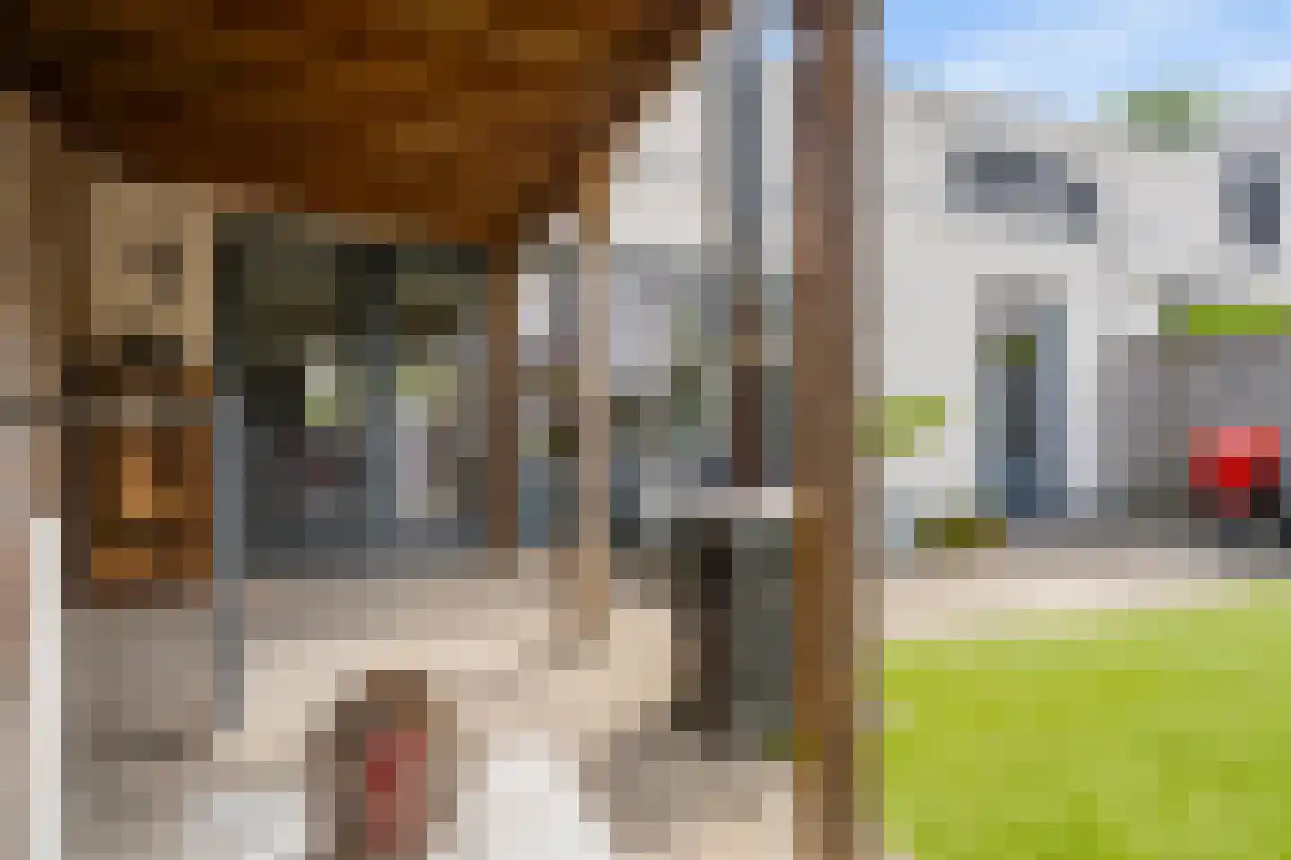 Donkse Dreef 34 's-Hertogenbosch thumbnail 18