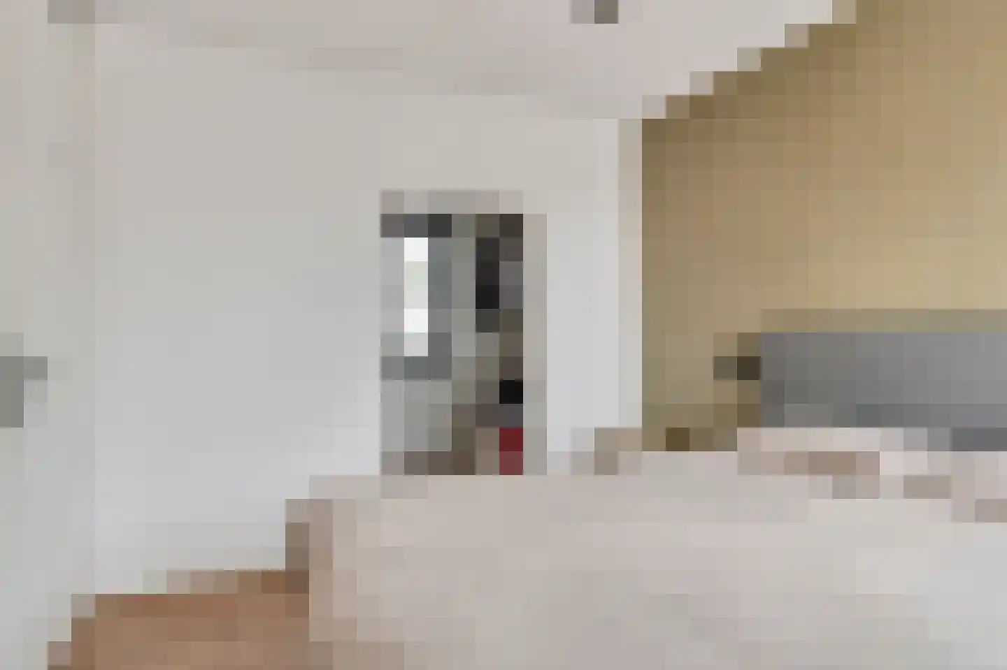 Donkse Dreef 34 's-Hertogenbosch thumbnail 23