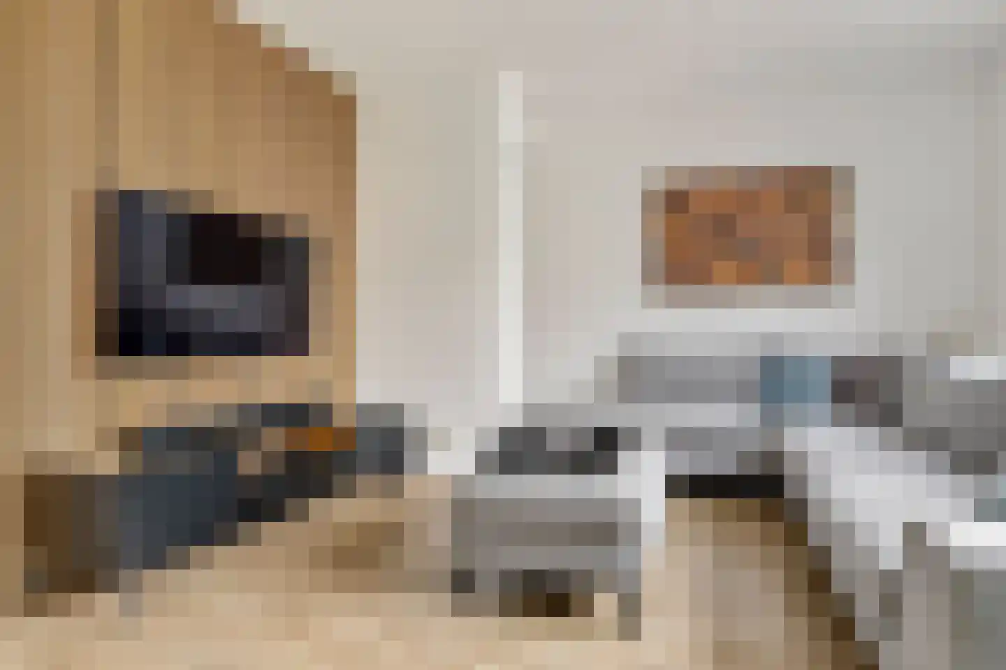 Donkse Dreef 34 's-Hertogenbosch thumbnail 4
