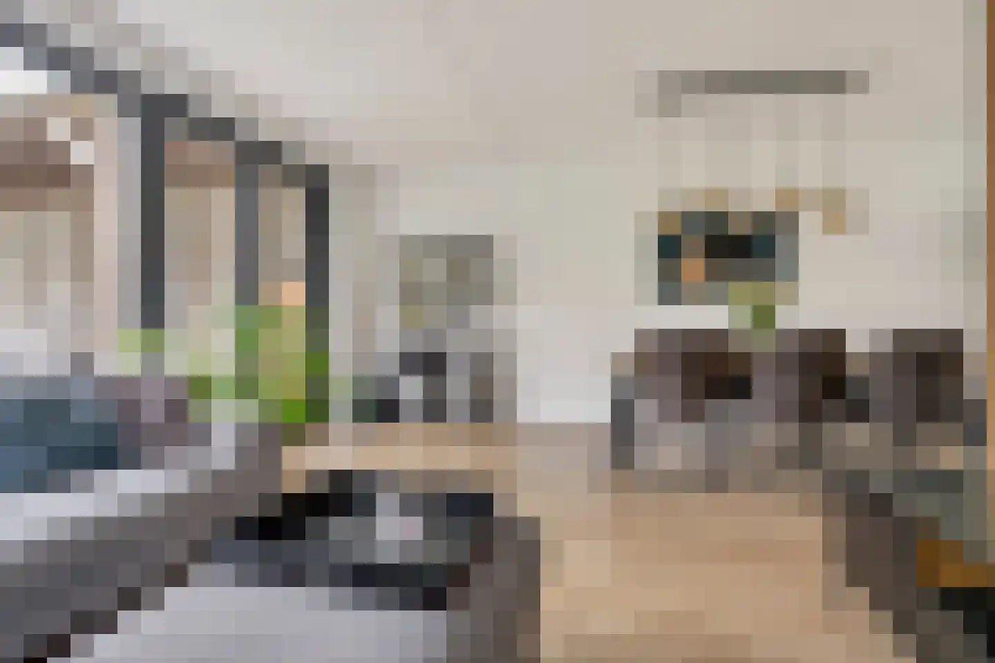 Donkse Dreef 34 's-Hertogenbosch thumbnail 5