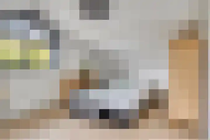 Donkse Dreef 37 's-Hertogenbosch thumbnail 23