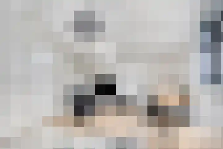Donkse Dreef 37 's-Hertogenbosch thumbnail 24
