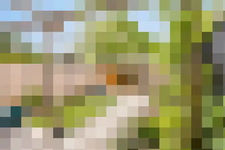 Donkse Dreef 37 's-Hertogenbosch thumbnail 26
