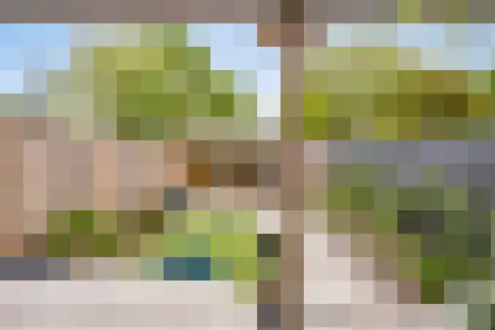 Donkse Dreef 37 's-Hertogenbosch thumbnail 27