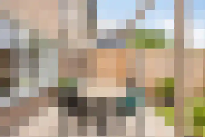 Donkse Dreef 37 's-Hertogenbosch thumbnail 29