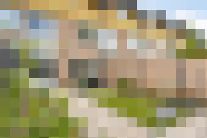 Donkse Dreef 37 's-Hertogenbosch thumbnail 30