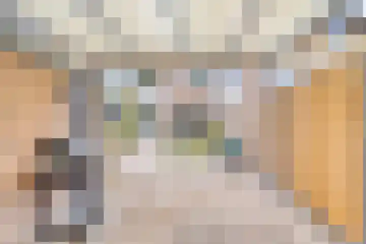 Donkse Dreef 37 's-Hertogenbosch thumbnail 31