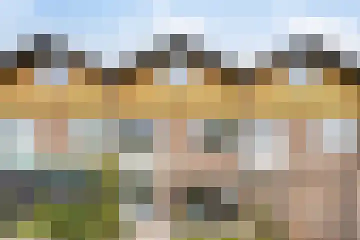Donkse Dreef 37 's-Hertogenbosch thumbnail 32
