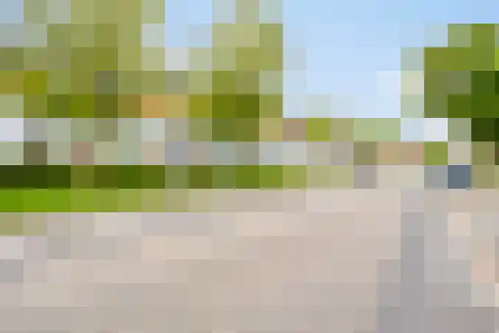 Donkse Dreef 37 's-Hertogenbosch thumbnail 33