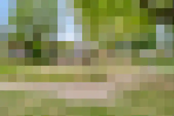 Donkse Dreef 37 's-Hertogenbosch thumbnail 34