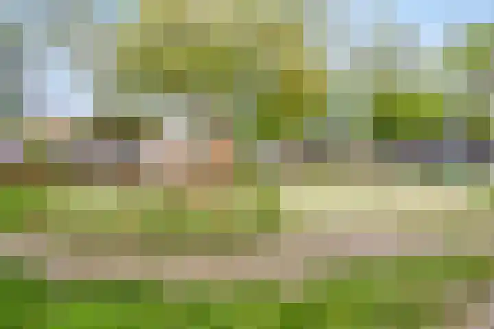Donkse Dreef 37 's-Hertogenbosch thumbnail 35