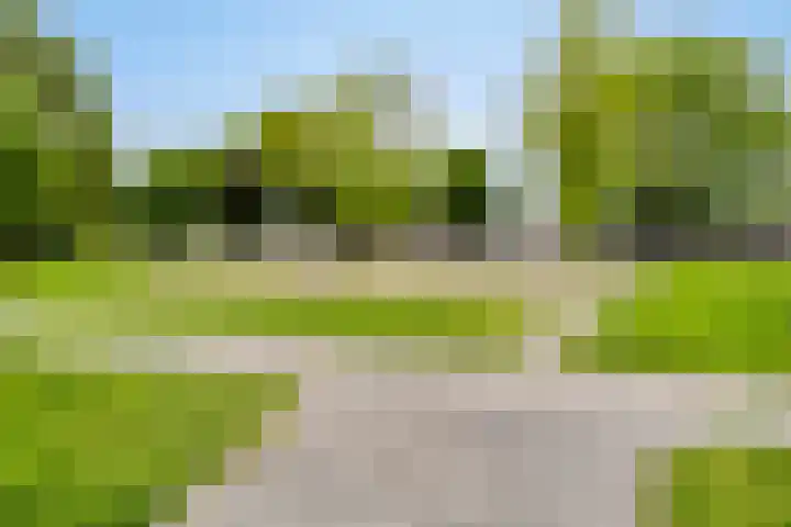Donkse Dreef 37 's-Hertogenbosch thumbnail 37