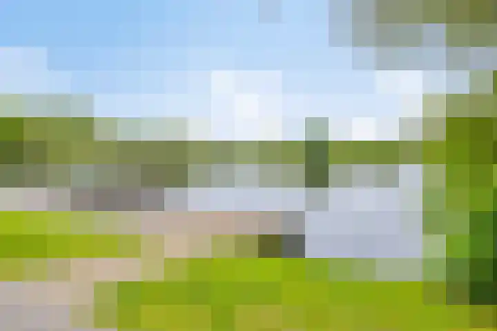 Donkse Dreef 37 's-Hertogenbosch thumbnail 38