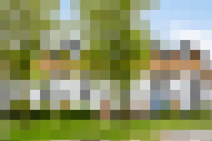 Donkse Dreef 37 's-Hertogenbosch thumbnail 46