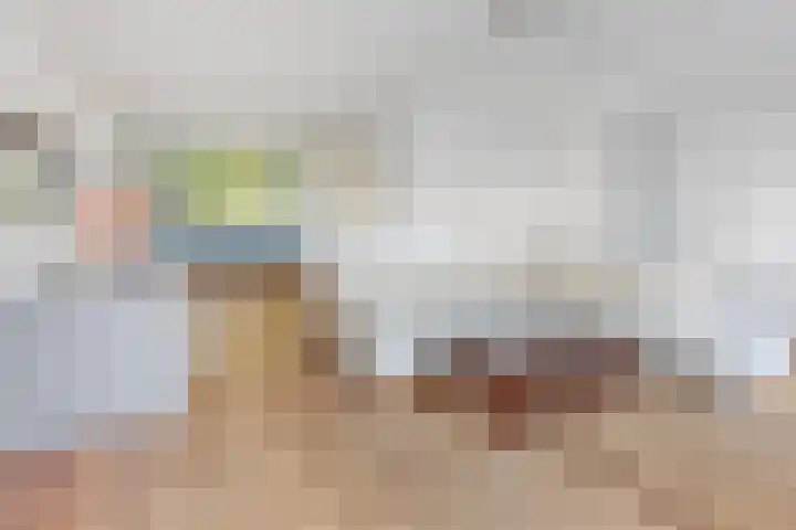 Donkse Dreef 62 's-Hertogenbosch thumbnail 11
