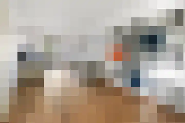 Donkse Dreef 62 's-Hertogenbosch thumbnail 13