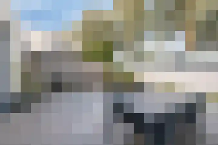 Donkse Dreef 62 's-Hertogenbosch thumbnail 15