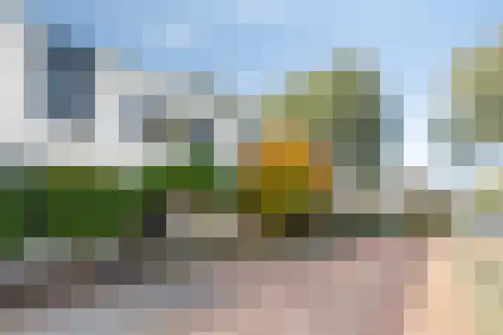 Donkse Dreef 62 's-Hertogenbosch thumbnail 27