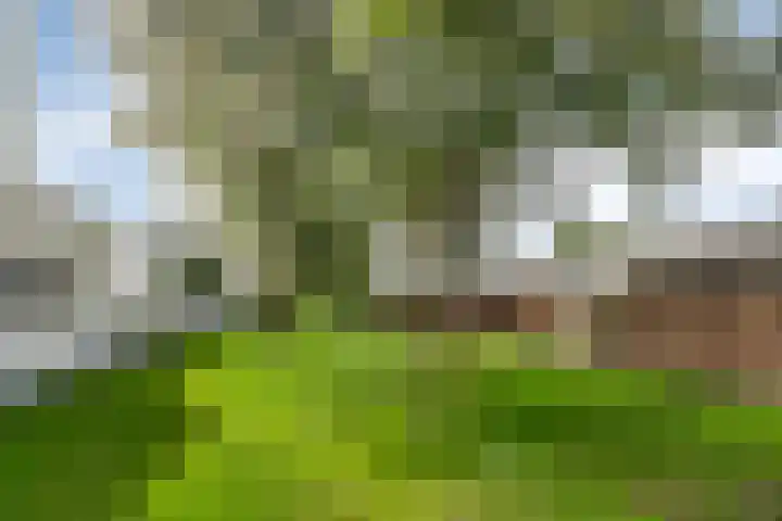 Donkse Dreef 62 's-Hertogenbosch thumbnail 29