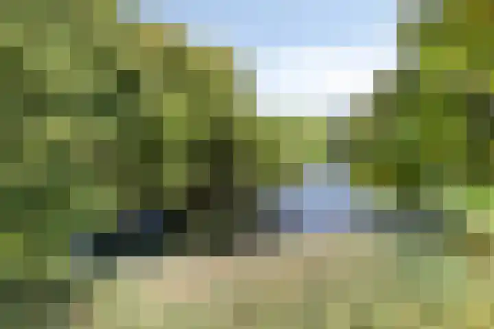 Donkse Dreef 62 's-Hertogenbosch thumbnail 30