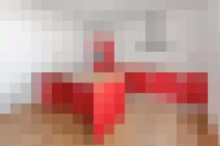 Donkse Dreef 62 's-Hertogenbosch thumbnail 8