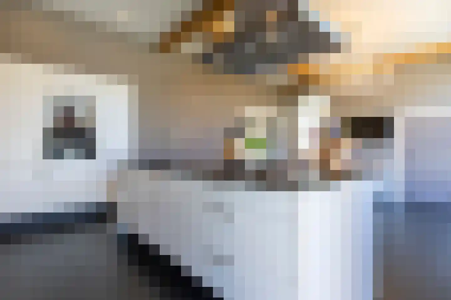 Donksestraat 2 Sint-Michielsgestel thumbnail 11