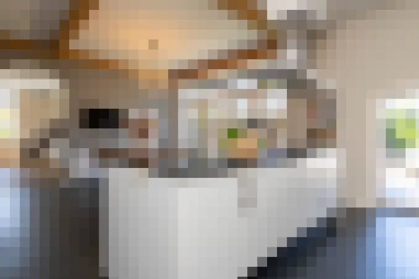 Donksestraat 2 Sint-Michielsgestel thumbnail 12
