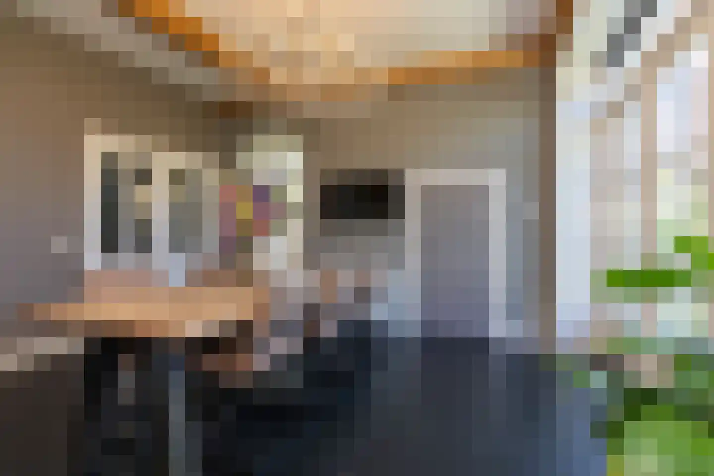 Donksestraat 2 Sint-Michielsgestel thumbnail 14