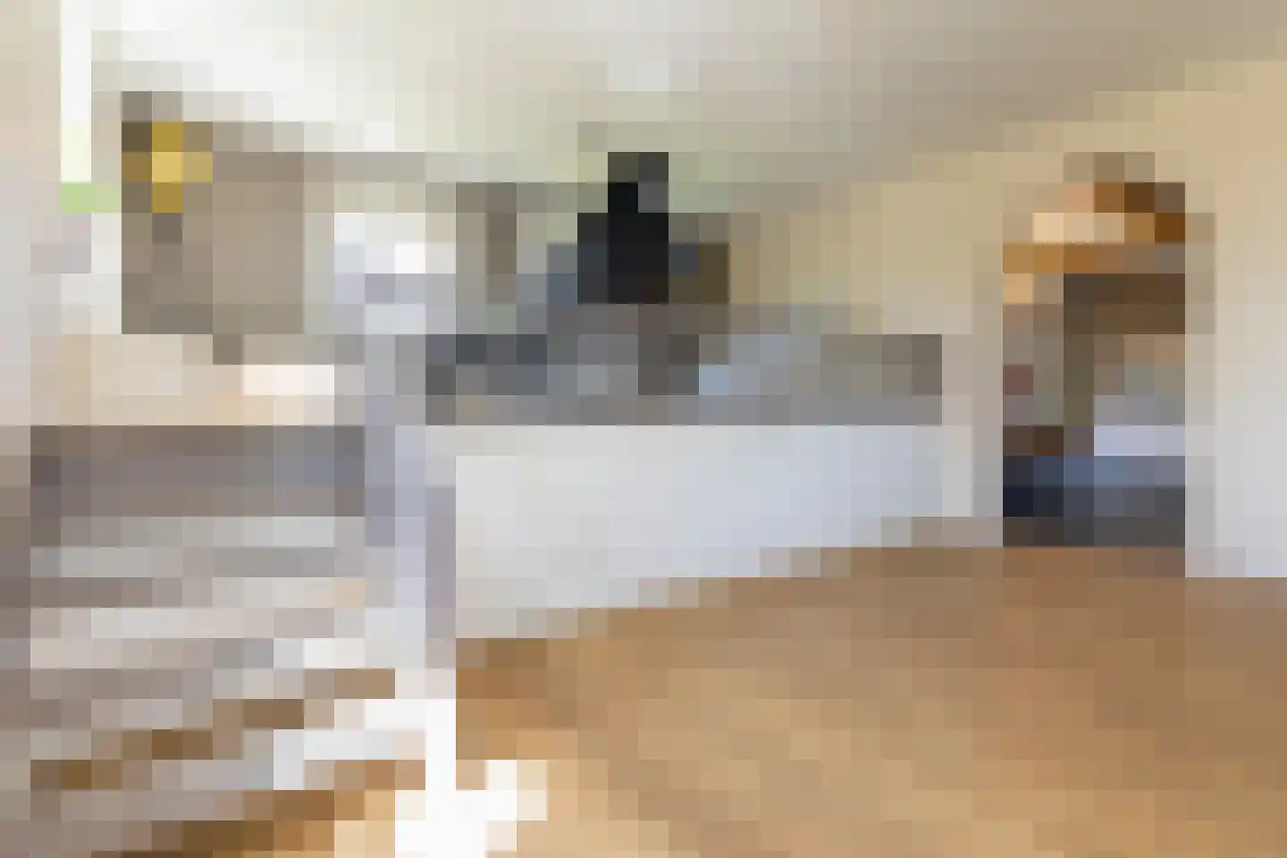 Donksestraat 2 Sint-Michielsgestel thumbnail 15