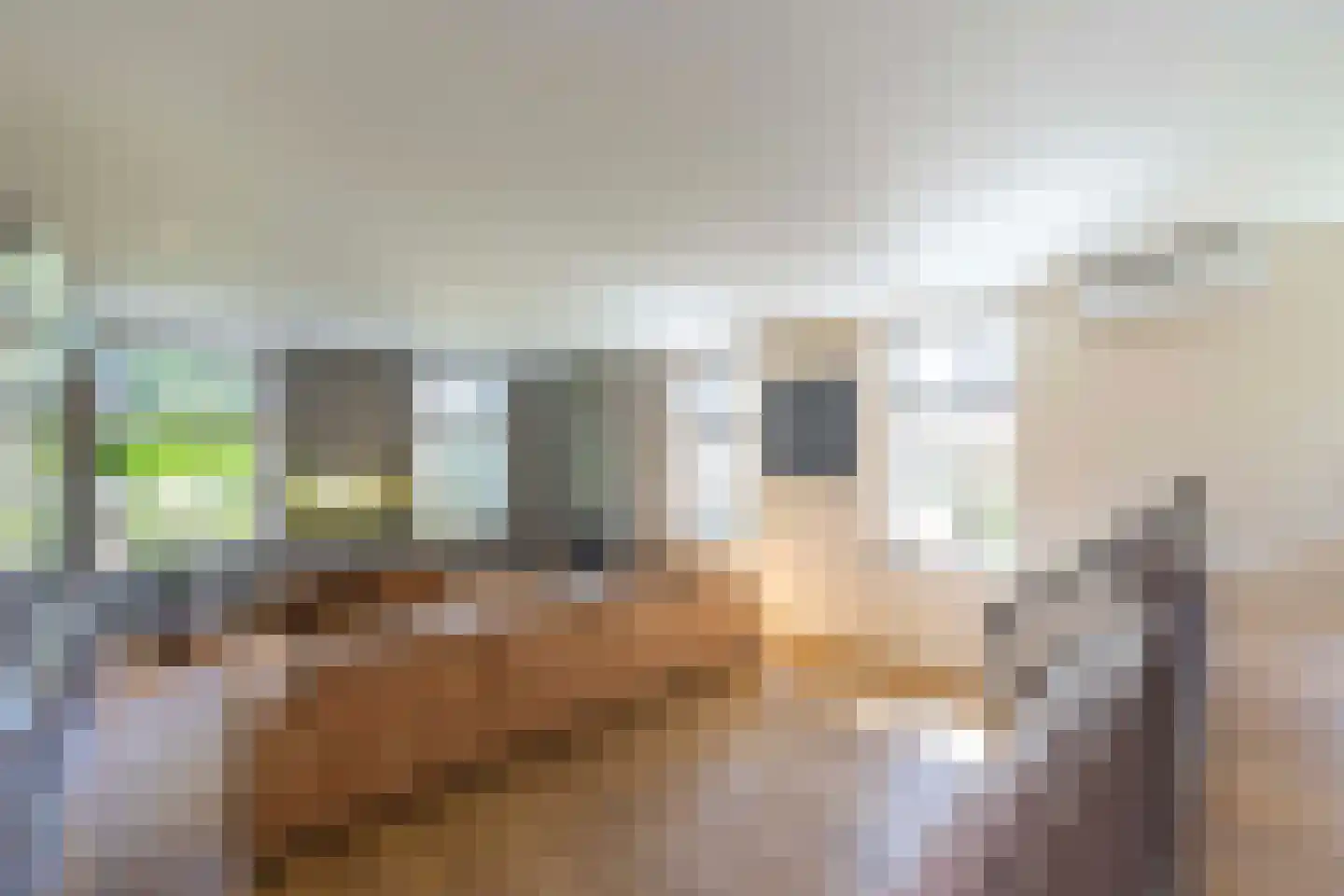 Donksestraat 2 Sint-Michielsgestel thumbnail 16