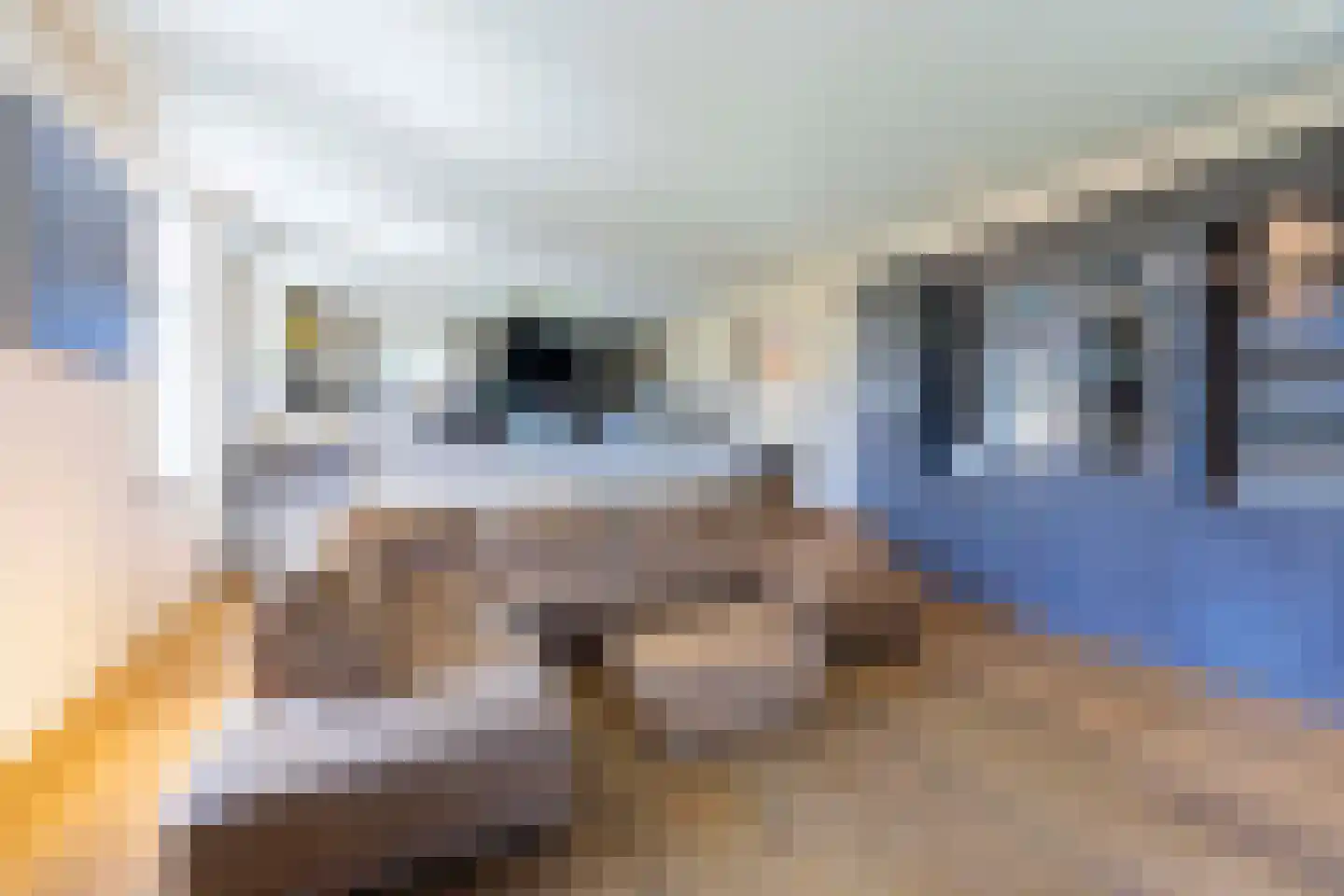 Donksestraat 2 Sint-Michielsgestel thumbnail 18