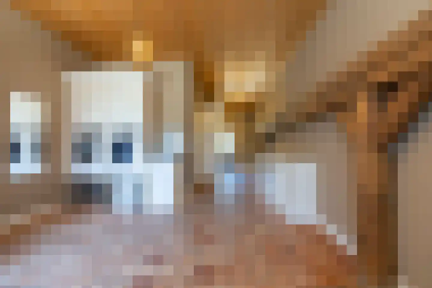 Donksestraat 2 Sint-Michielsgestel thumbnail 25
