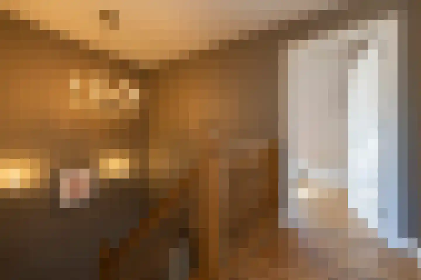 Donksestraat 2 Sint-Michielsgestel thumbnail 29