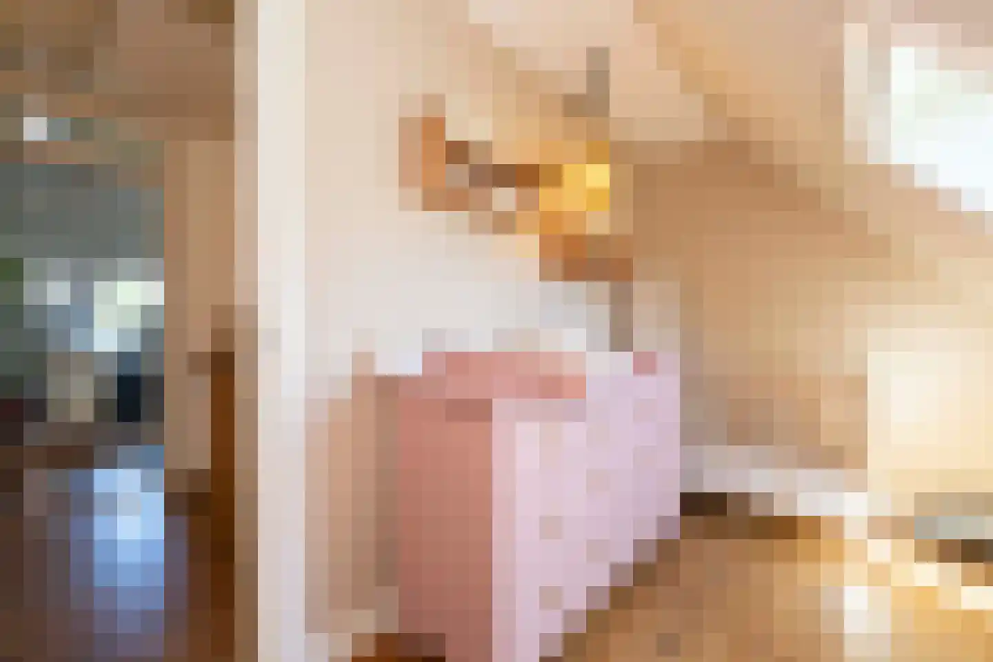Donksestraat 2 Sint-Michielsgestel thumbnail 30