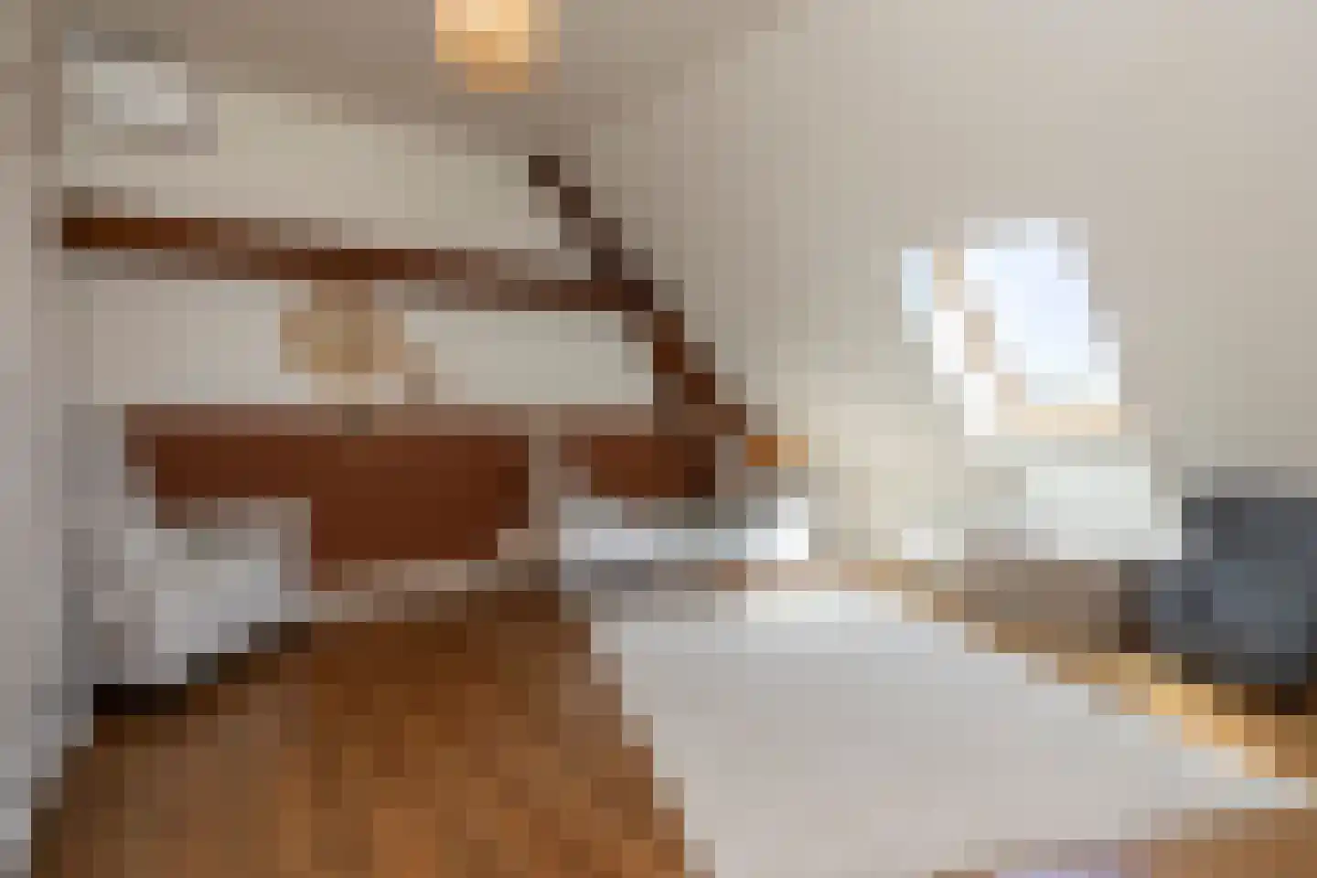 Donksestraat 2 Sint-Michielsgestel thumbnail 31