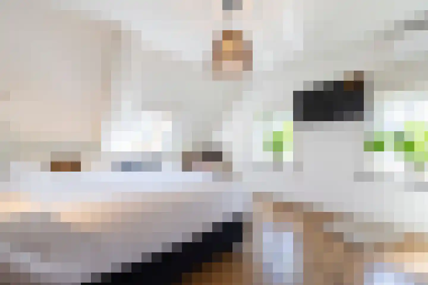 Donksestraat 2 Sint-Michielsgestel thumbnail 37