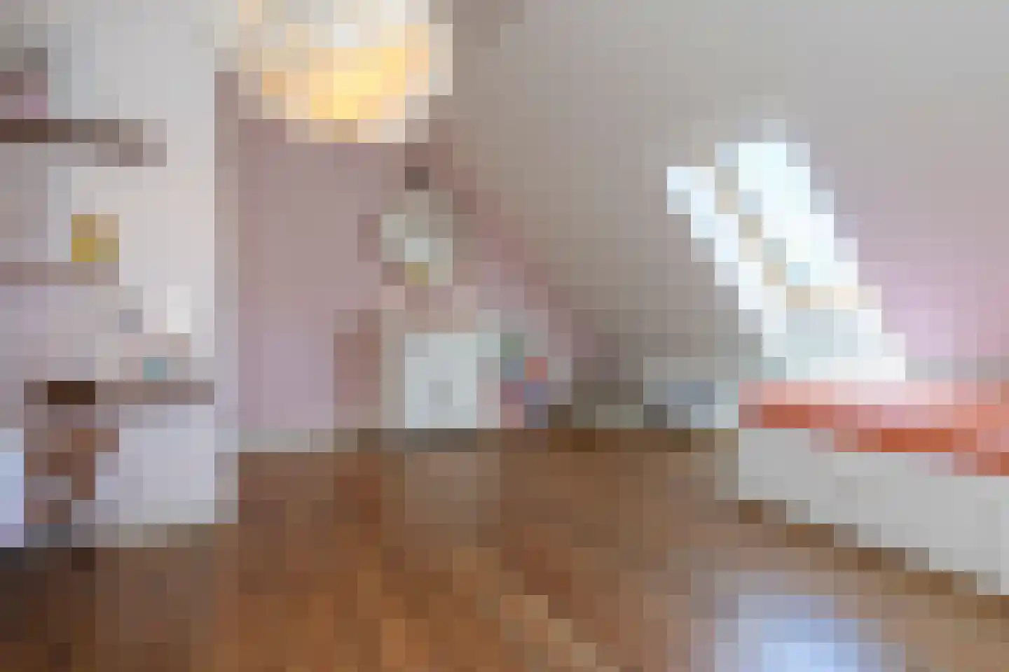 Donksestraat 2 Sint-Michielsgestel thumbnail 39