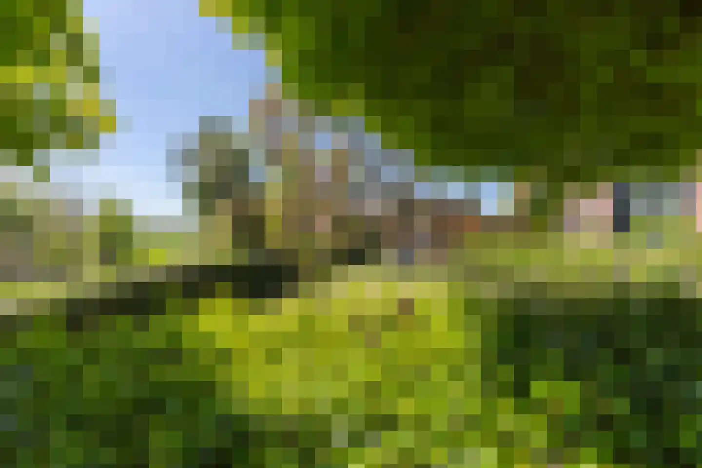 Donksestraat 2 Sint-Michielsgestel thumbnail 4
