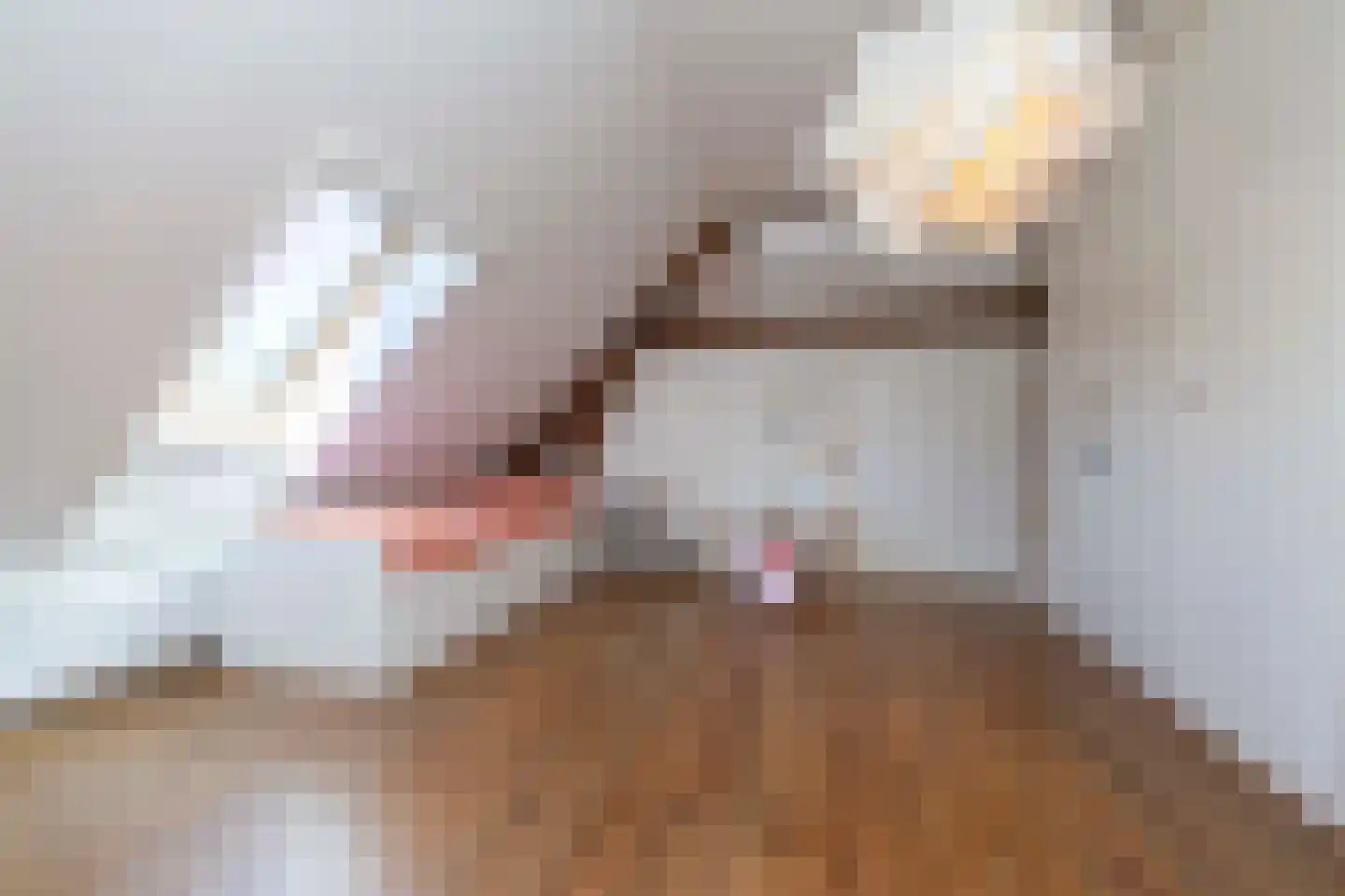 Donksestraat 2 Sint-Michielsgestel thumbnail 40