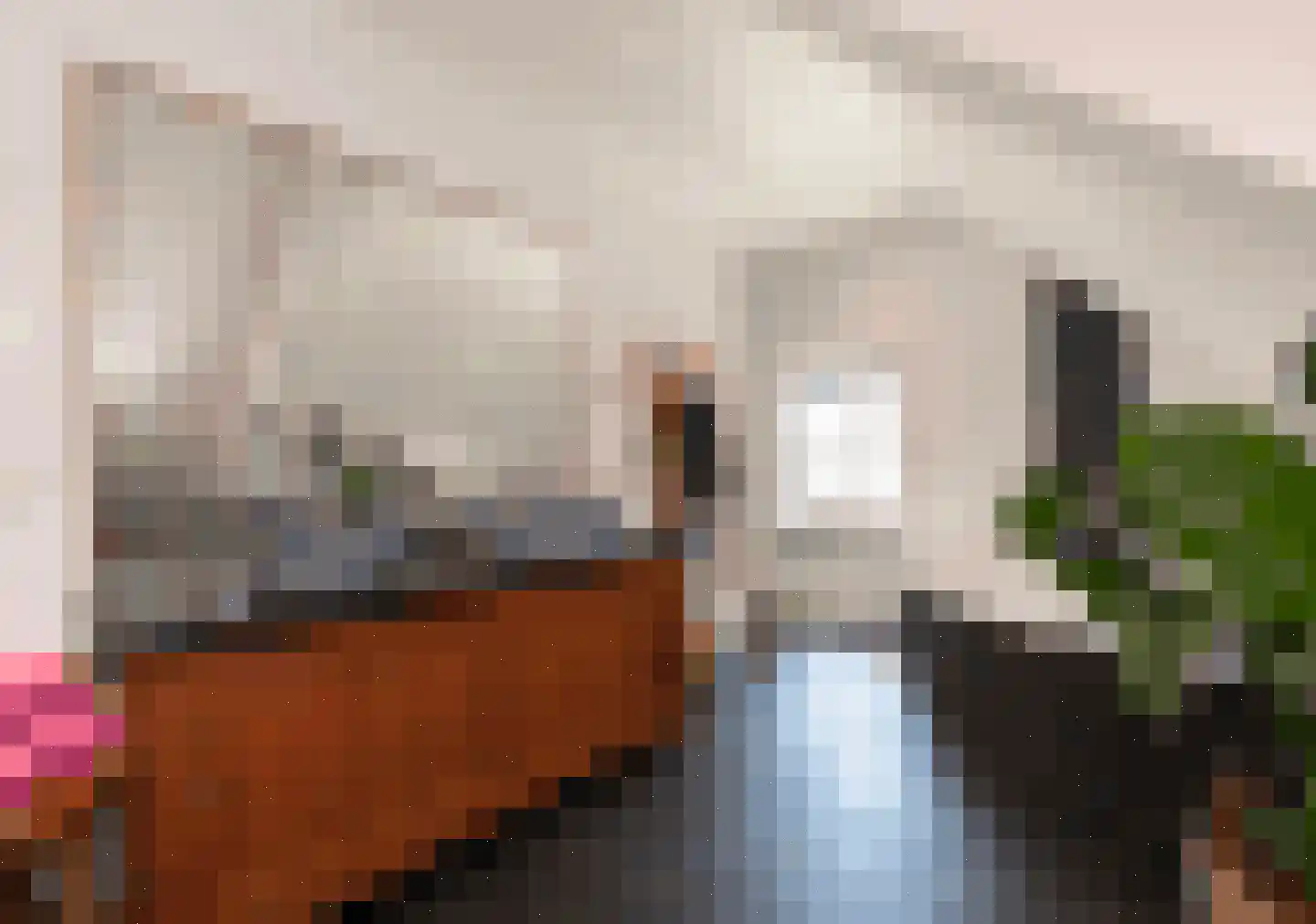 Donksestraat 2 Sint-Michielsgestel thumbnail 42