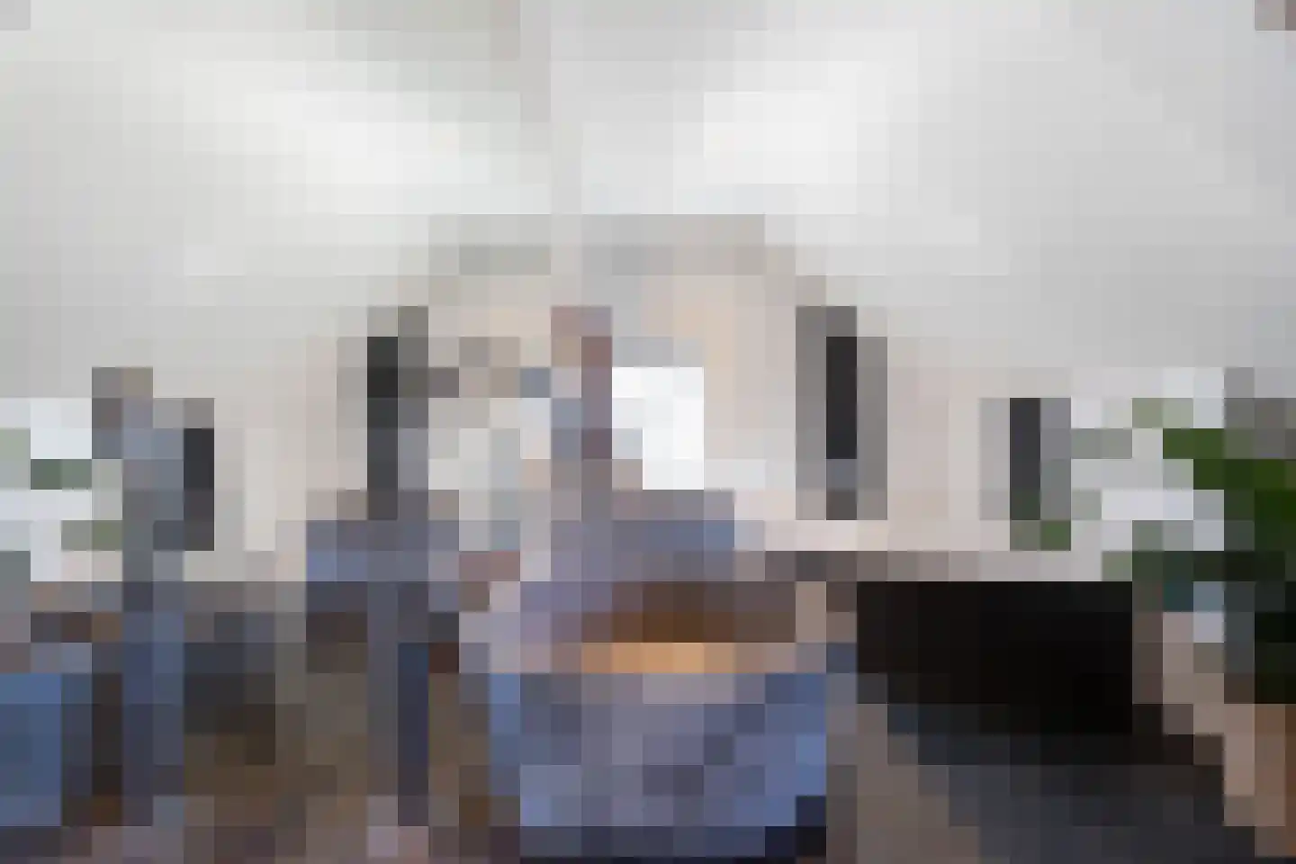 Donksestraat 2 Sint-Michielsgestel thumbnail 43