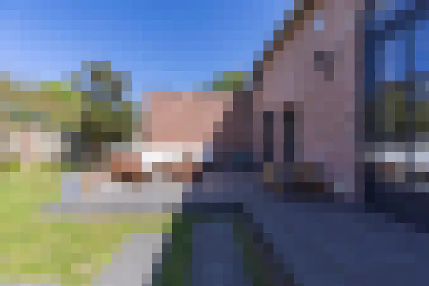Donksestraat 2 Sint-Michielsgestel thumbnail 46