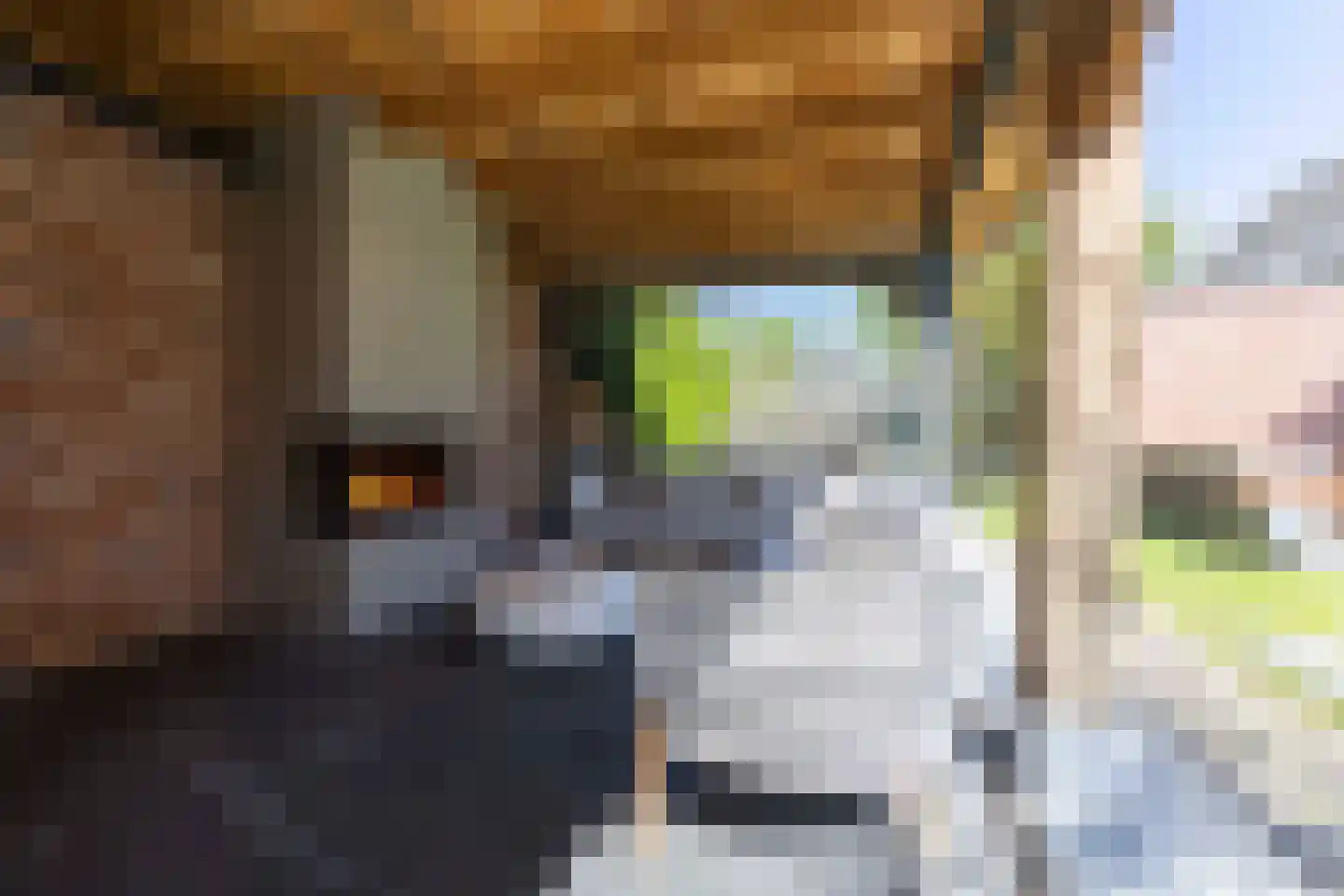 Donksestraat 2 Sint-Michielsgestel thumbnail 49