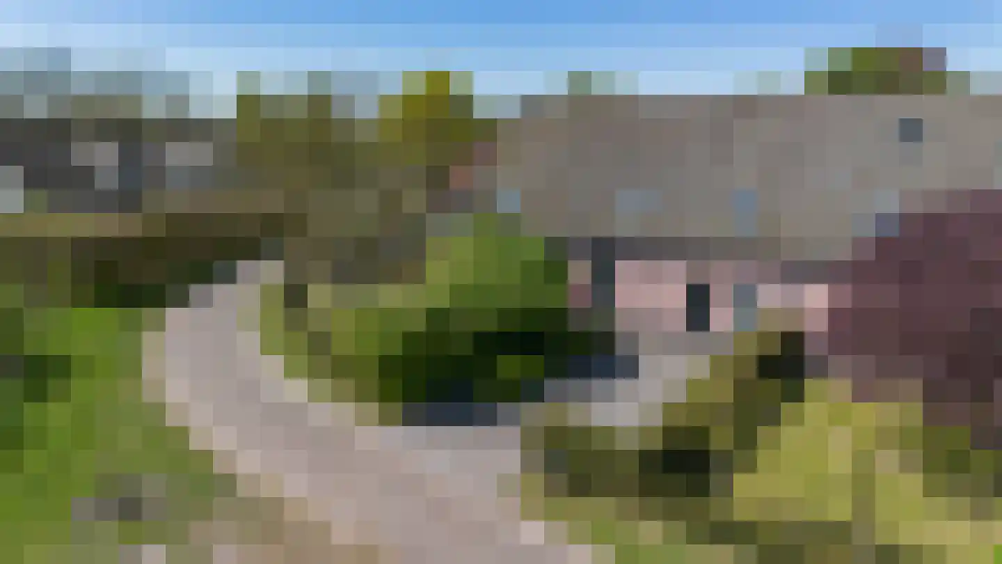 Donksestraat 2 Sint-Michielsgestel thumbnail 5