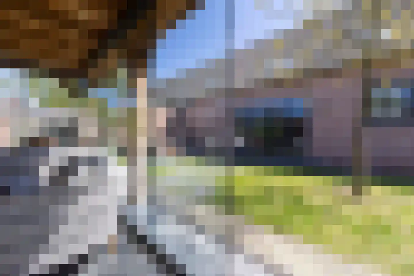 Donksestraat 2 Sint-Michielsgestel thumbnail 53