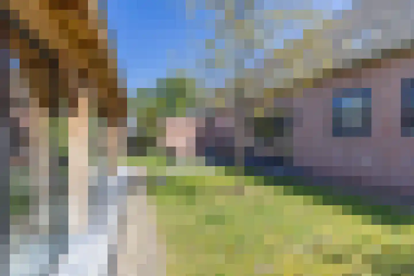 Donksestraat 2 Sint-Michielsgestel thumbnail 55
