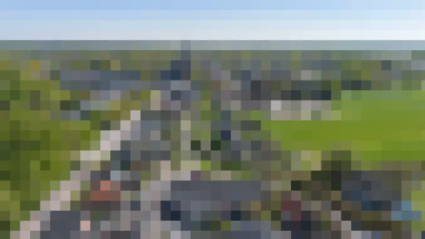 Donksestraat 2 Sint-Michielsgestel thumbnail 56
