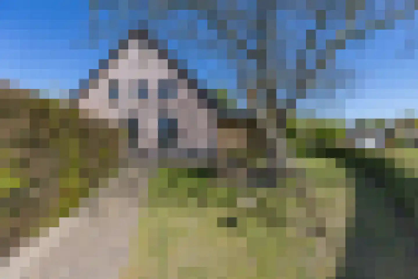 Donksestraat 2 Sint-Michielsgestel thumbnail 7