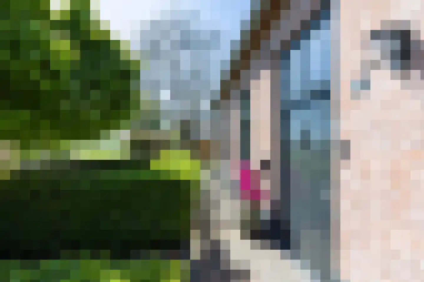 Donksestraat 2 Sint-Michielsgestel thumbnail 8