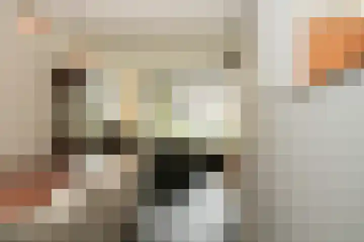 Donksewaard 3 Wijk en Aalburg thumbnail 11